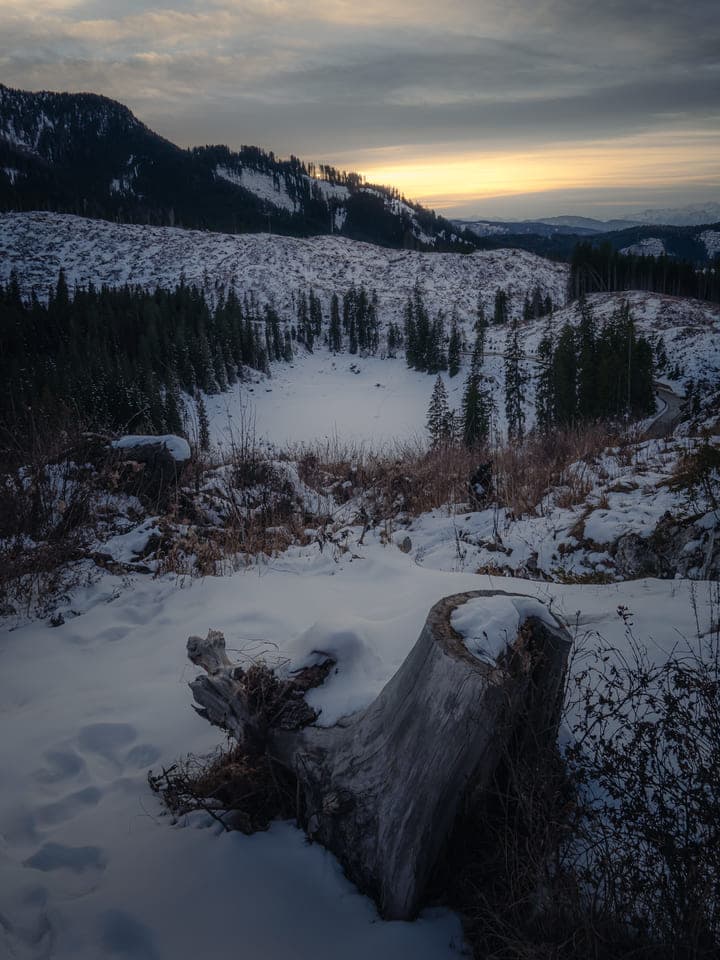 Snowy hillside and tree stump at dusk